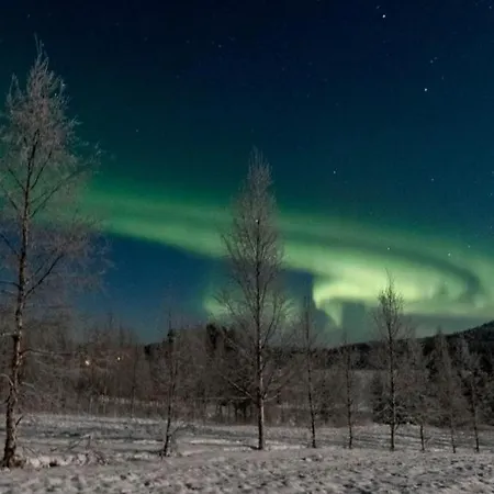 Apartment Pellonranta 2 *